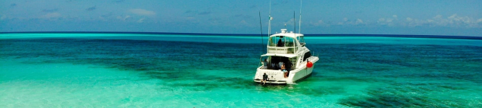 Cozumel (El Cielo)